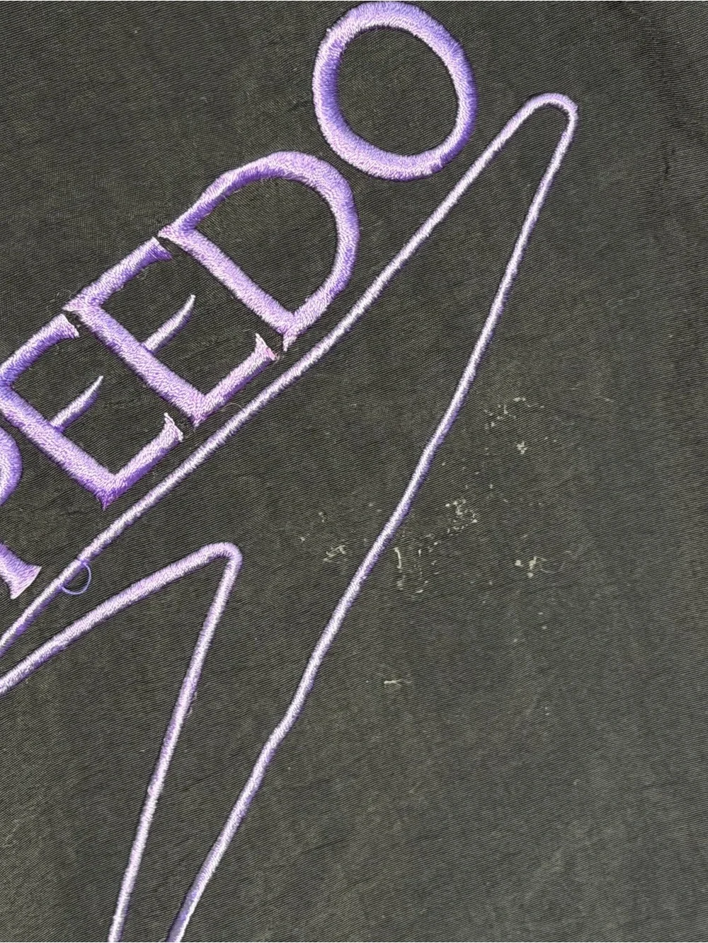 Vintage 90s Retro Speedo Black Swim Trunks with Purple Logo Accent